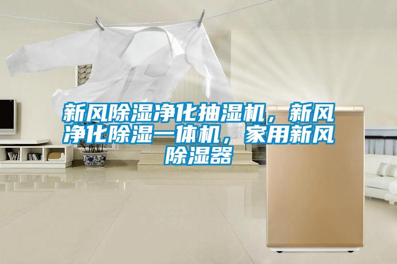 新風(fēng)除濕凈化抽濕機，新風(fēng)凈化除濕一體機，家用新風(fēng)除濕器