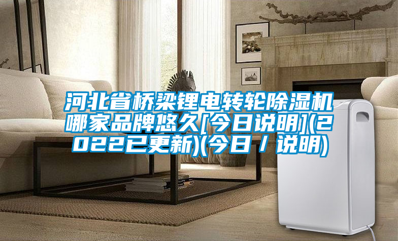 河北省橋梁鋰電轉(zhuǎn)輪除濕機(jī)哪家品牌悠久[今日說明](2022已更新)(今日／說明)