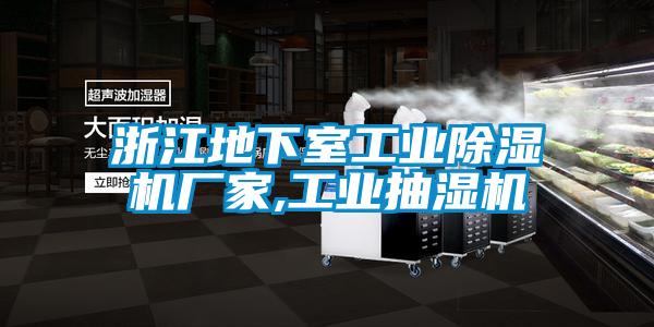 浙江地下室工業(yè)除濕機廠家,工業(yè)抽濕機