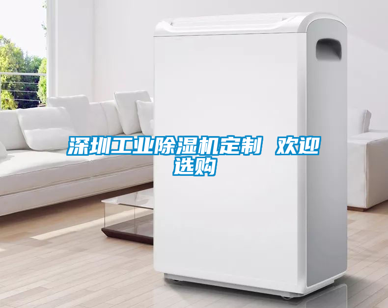 深圳工業(yè)除濕機(jī)定制 歡迎選購(gòu)