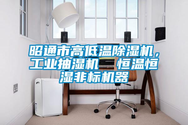 昭通市高低溫除濕機(jī)，工業(yè)抽濕機(jī)  恒溫恒濕非標(biāo)機(jī)器