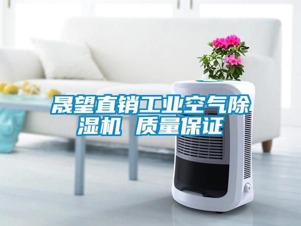 晟望直銷(xiāo)工業(yè)空氣除濕機(jī) 質(zhì)量保證