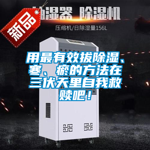 用最有效拔除濕、寒、瘀的方法在三伏天里自我救贖吧！