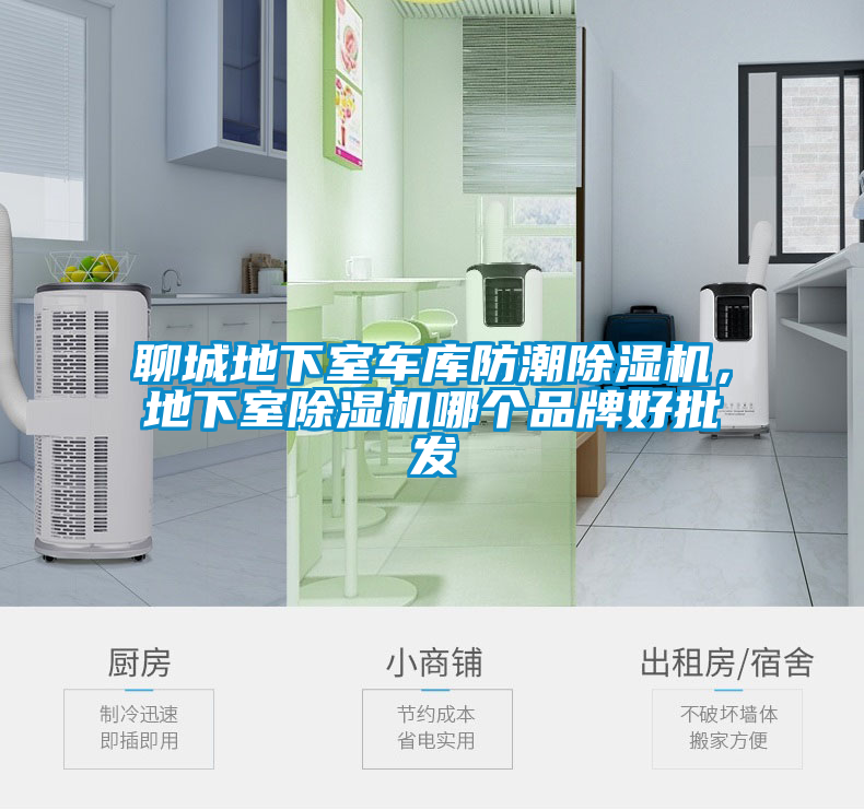 聊城地下室車庫防潮除濕機(jī)，地下室除濕機(jī)哪個(gè)品牌好批發(fā)