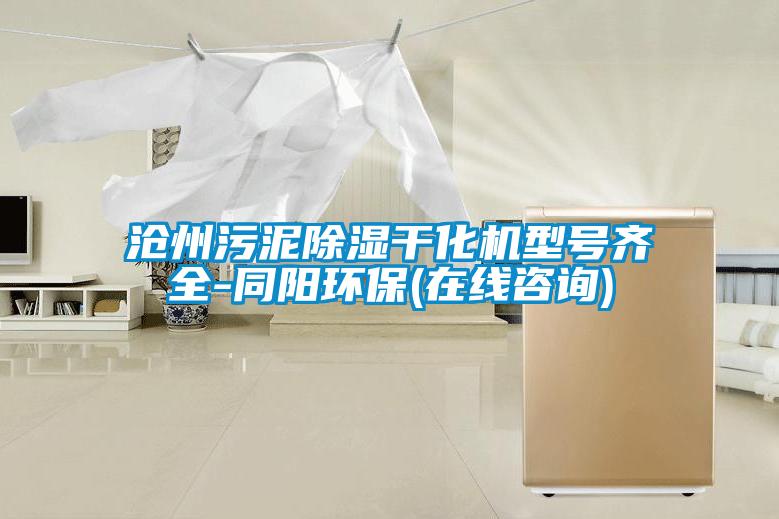 滄州污泥除濕干化機(jī)型號齊全-同陽環(huán)保(在線咨詢)