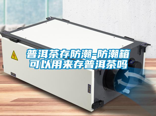 普洱茶存防潮-防潮箱可以用來存普洱茶嗎