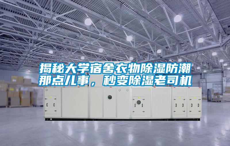 揭秘大學(xué)宿舍衣物除濕防潮那點(diǎn)兒事，秒變除濕老司機(jī)