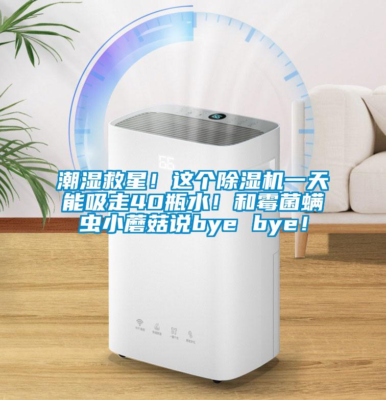 潮濕救星！這個(gè)除濕機(jī)一天能吸走40瓶水！和霉菌螨蟲(chóng)小蘑菇說(shuō)bye bye！