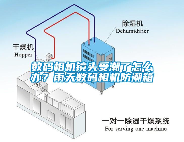數(shù)碼相機鏡頭受潮了怎么辦？雨天數(shù)碼相機防潮箱
