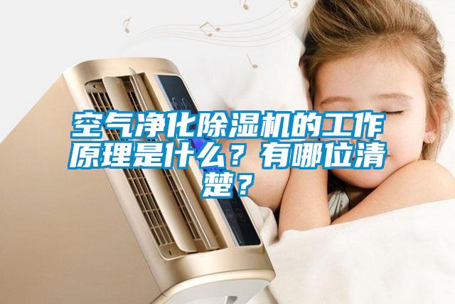 空氣凈化除濕機(jī)的工作原理是什么？有哪位清楚？