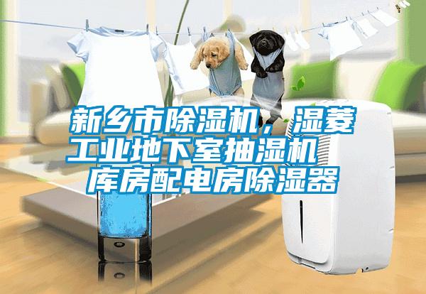 新鄉(xiāng)市除濕機，濕菱工業(yè)地下室抽濕機  庫房配電房除濕器