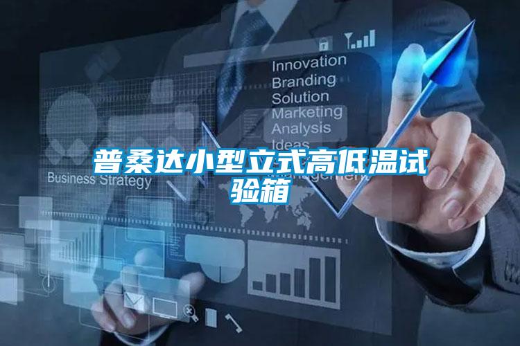普桑達(dá)小型立式高低溫試驗(yàn)箱