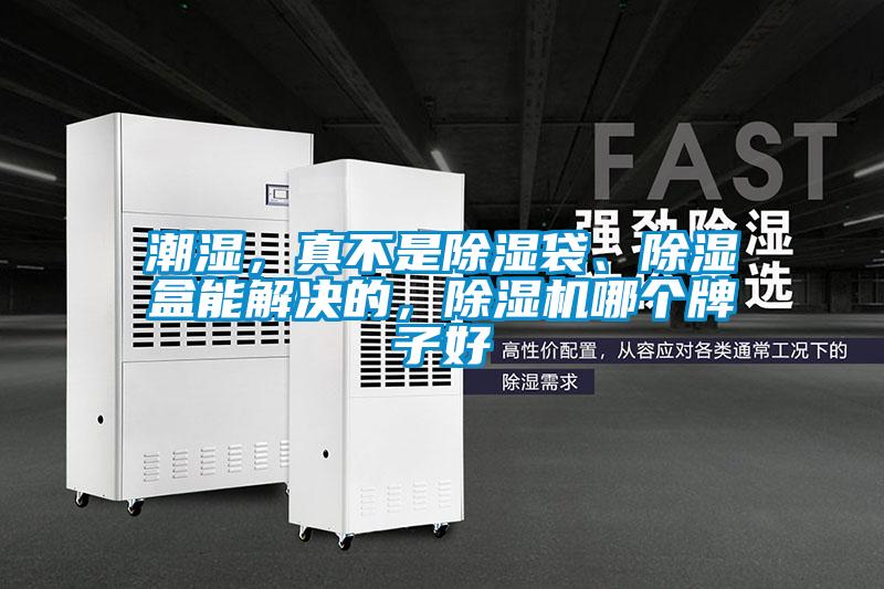 潮濕，真不是除濕袋、除濕盒能解決的，除濕機哪個牌子好
