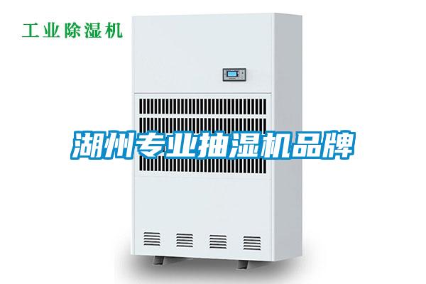 湖州專業(yè)抽濕機品牌