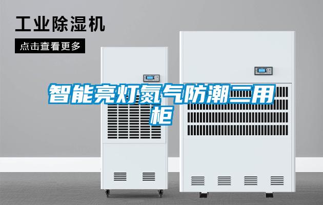 智能亮燈氮氣防潮二用柜