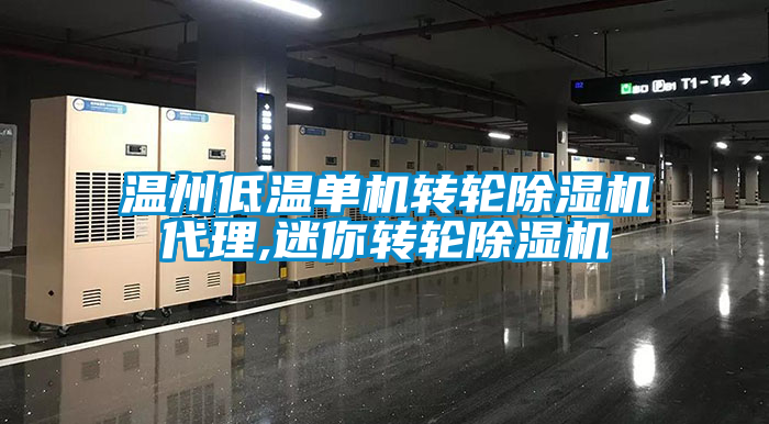 溫州低溫單機轉(zhuǎn)輪除濕機代理,迷你轉(zhuǎn)輪除濕機