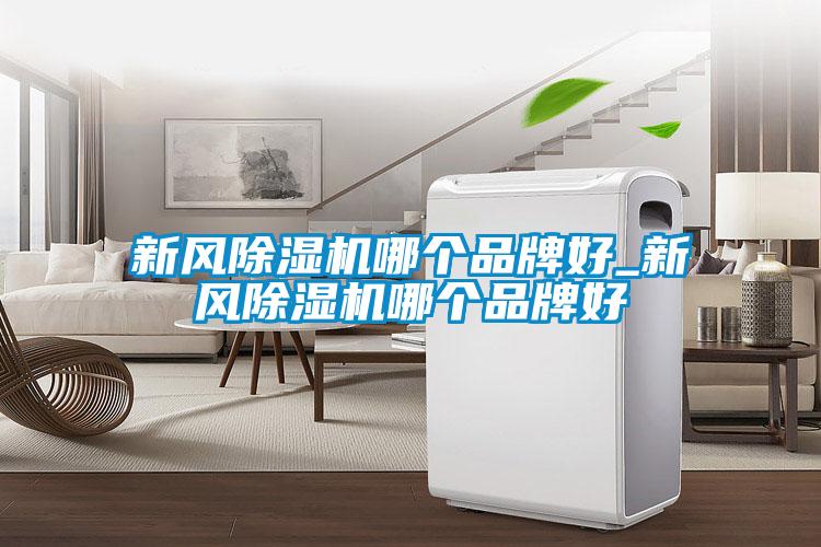 新風(fēng)除濕機(jī)哪個(gè)品牌好_新風(fēng)除濕機(jī)哪個(gè)品牌好