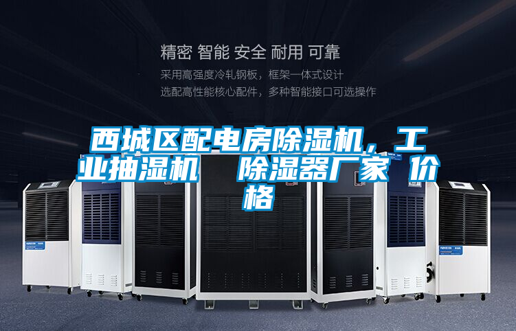 西城區(qū)配電房除濕機(jī)，工業(yè)抽濕機(jī)  除濕器廠家 價格