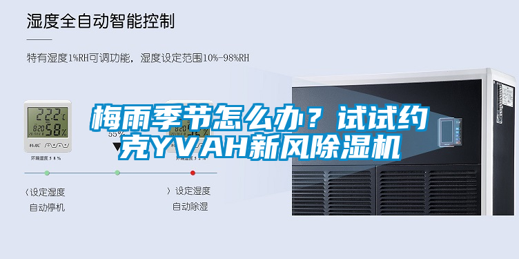 梅雨季節(jié)怎么辦？試試約克YVAH新風除濕機