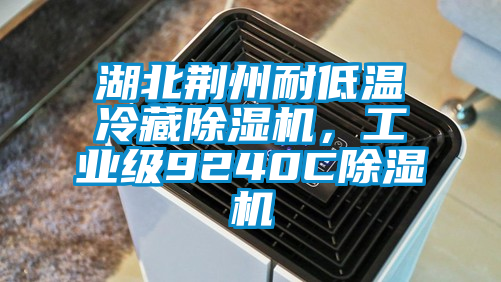 湖北荊州耐低溫冷藏除濕機，工業(yè)級9240C除濕機