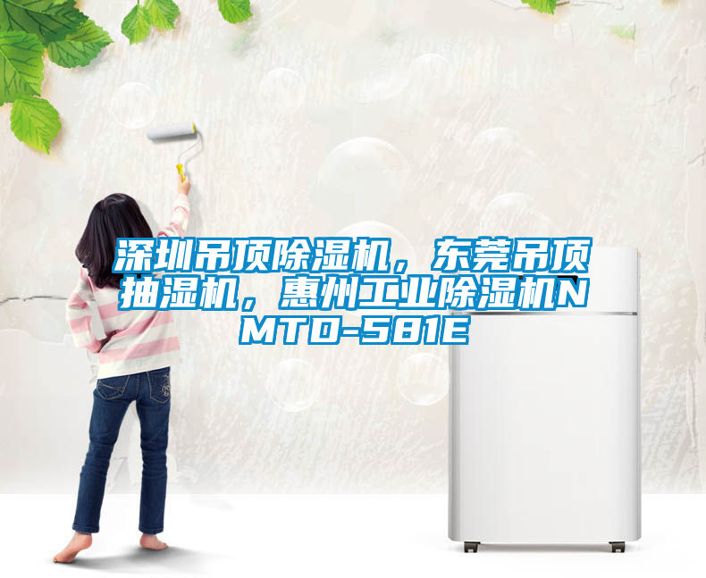 深圳吊頂除濕機，東莞吊頂抽濕機，惠州工業(yè)除濕機NMTD-581E