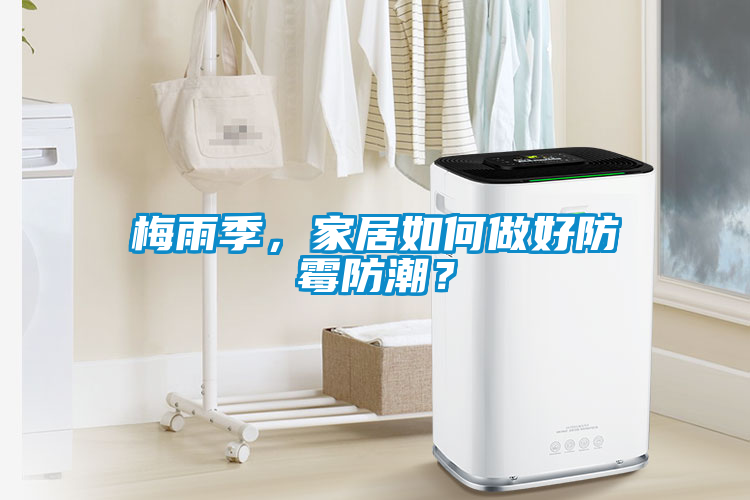 梅雨季，家居如何做好防霉防潮？