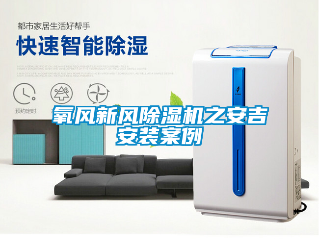 氧風(fēng)新風(fēng)除濕機(jī)之安吉安裝案例