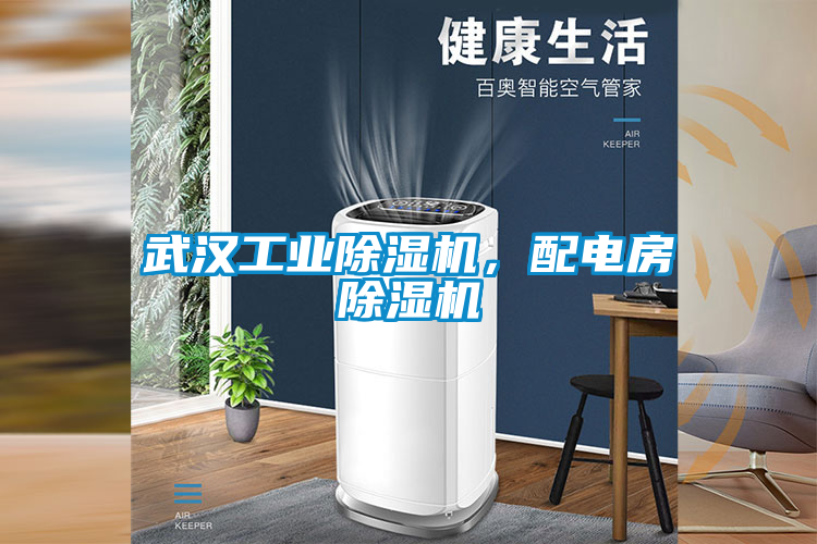 武漢工業(yè)除濕機(jī)，配電房除濕機(jī)