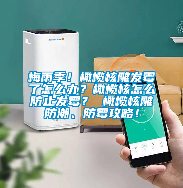 梅雨季！橄欖核雕發(fā)霉了怎么辦？橄欖核怎么防止發(fā)霉？ 橄欖核雕防潮、防霉攻略！