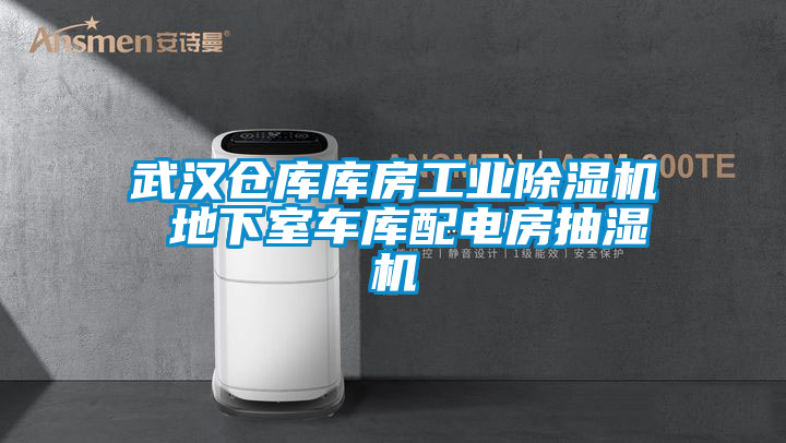 武漢倉庫庫房工業(yè)除濕機 地下室車庫配電房抽濕機