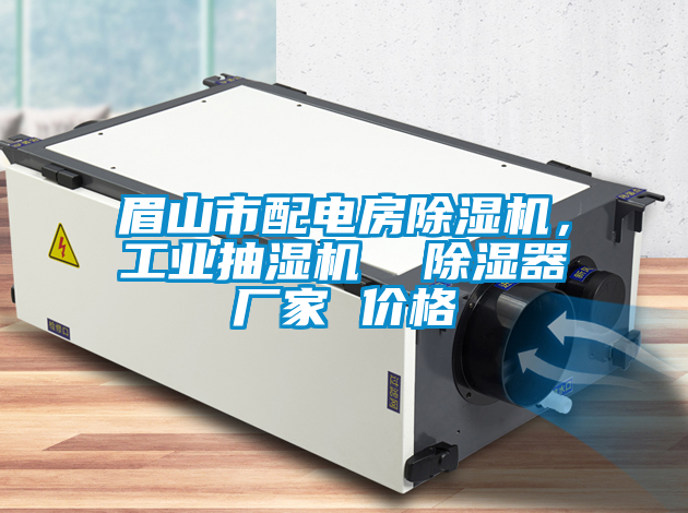眉山市配電房除濕機(jī)，工業(yè)抽濕機(jī)  除濕器廠家 價(jià)格
