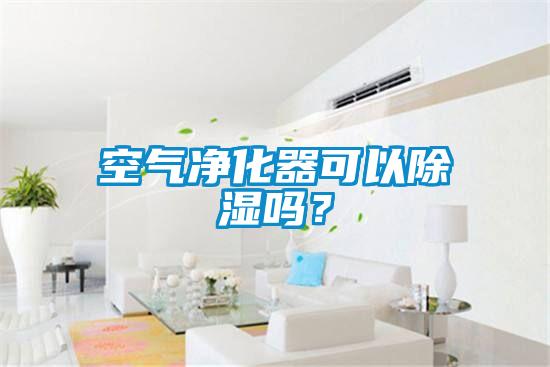 空氣凈化器可以除濕嗎？