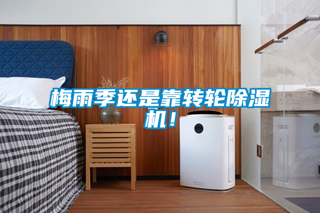 梅雨季還是靠轉(zhuǎn)輪除濕機！