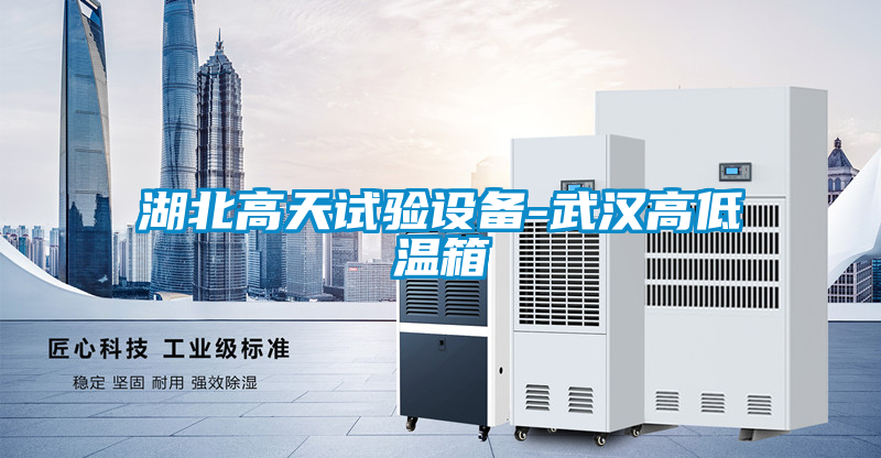 湖北高天試驗設備-武漢高低溫箱