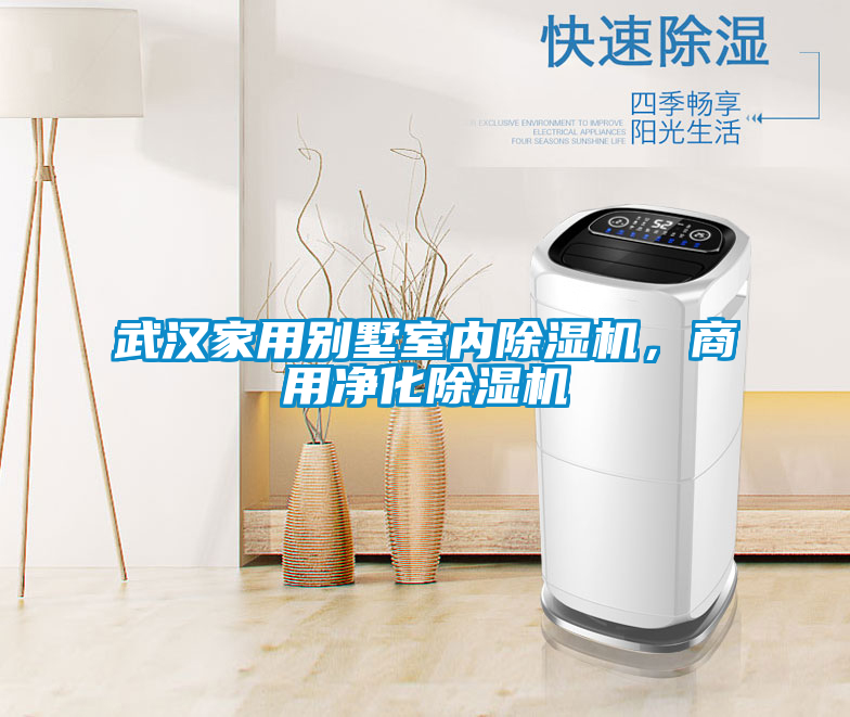 武漢家用別墅室內(nèi)除濕機，商用凈化除濕機