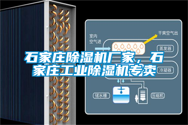 石家莊除濕機廠家，石家莊工業(yè)除濕機專賣