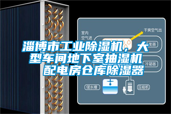 淄博市工業(yè)除濕機，大型車間地下室抽濕機  配電房倉庫除濕器