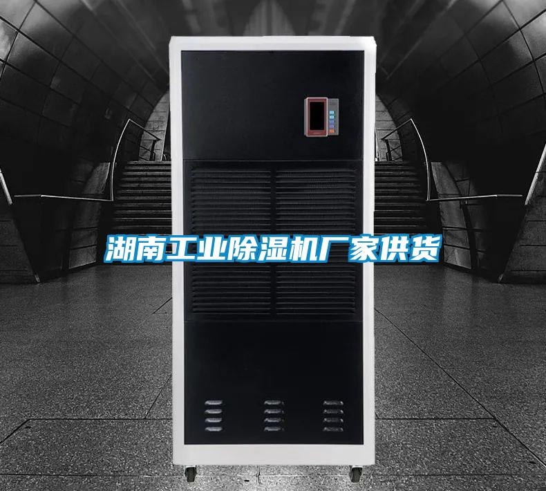 湖南工業(yè)除濕機廠家供貨