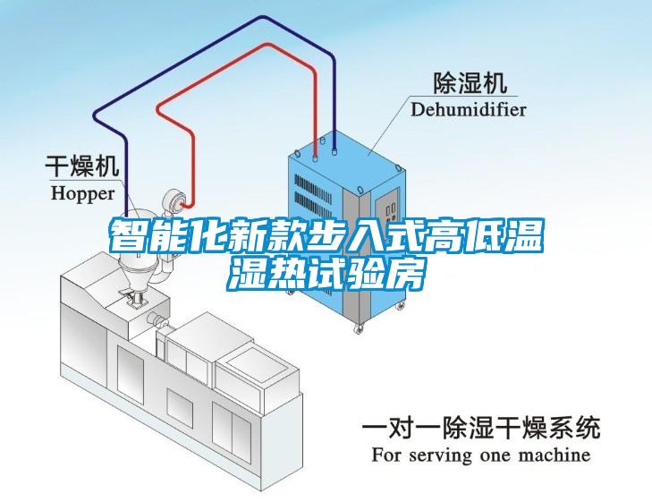 智能化新款步入式高低溫濕熱試驗房