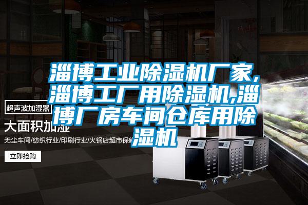 淄博工業(yè)除濕機(jī)廠家,淄博工廠用除濕機(jī),淄博廠房車間倉(cāng)庫(kù)用除濕機(jī)