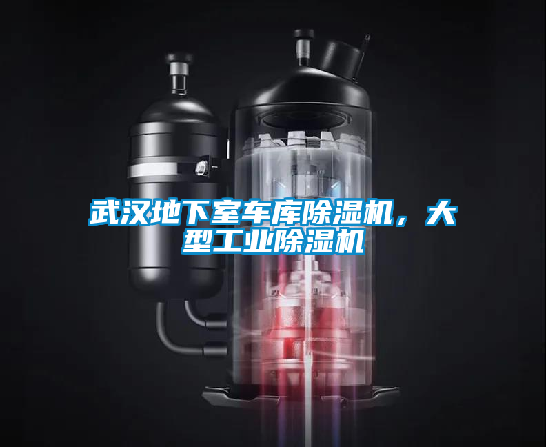 武漢地下室車庫除濕機，大型工業(yè)除濕機