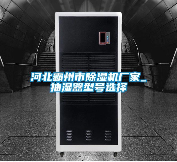 河北霸州市除濕機(jī)廠家_抽濕器型號選擇