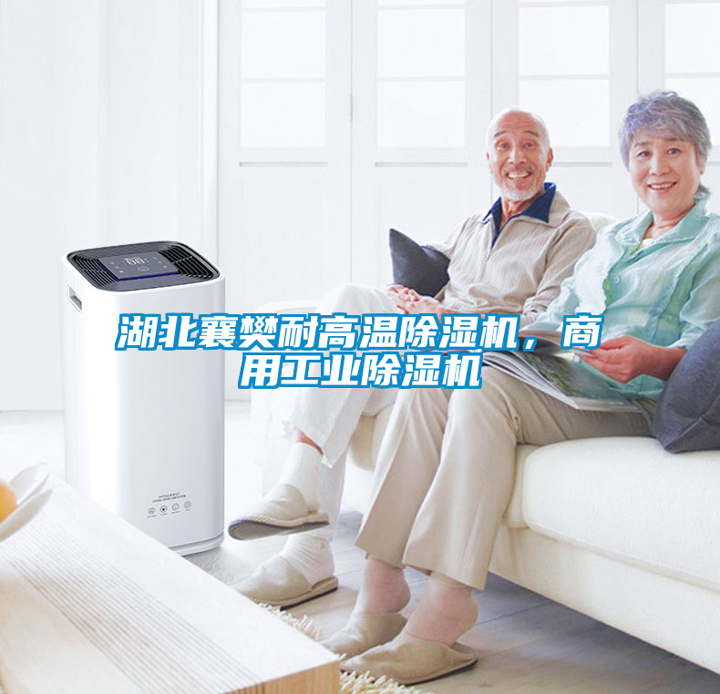 湖北襄樊耐高溫除濕機，商用工業(yè)除濕機