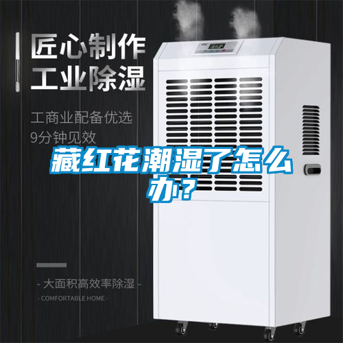 藏紅花潮濕了怎么辦？