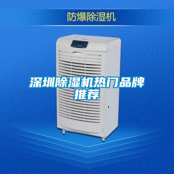 深圳除濕機(jī)熱門(mén)品牌推薦