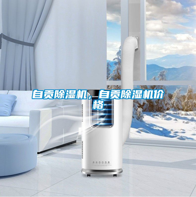 自貢除濕機(jī)，自貢除濕機(jī)價(jià)格