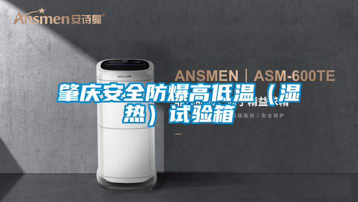肇慶安全防爆高低溫（濕熱）試驗(yàn)箱