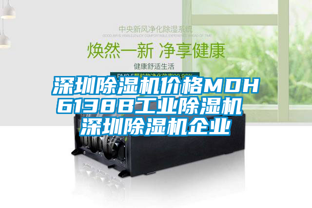 深圳除濕機(jī)價(jià)格MDH6138B工業(yè)除濕機(jī) 深圳除濕機(jī)企業(yè)