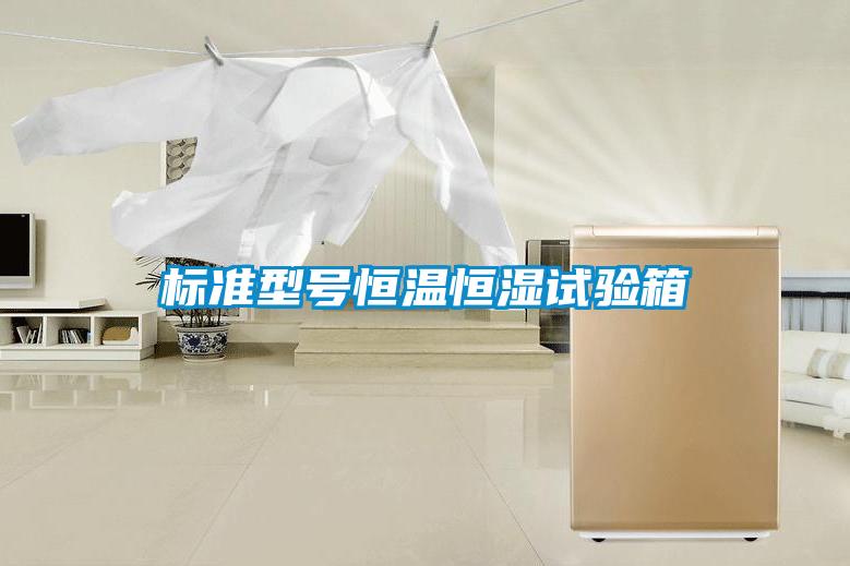 標(biāo)準(zhǔn)型號(hào)恒溫恒濕試驗(yàn)箱