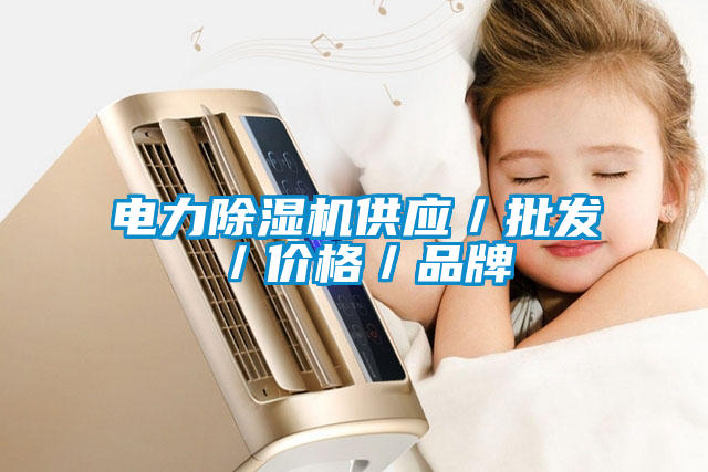 電力除濕機供應／批發(fā)／價格／品牌